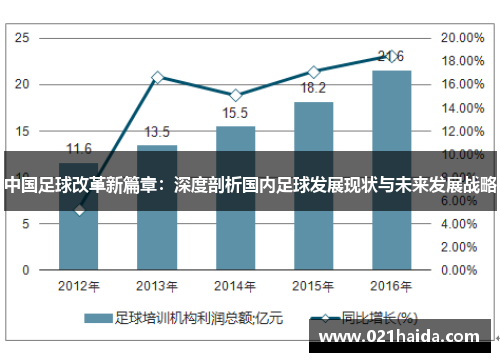 中国足球改革新篇章：深度剖析国内足球发展现状与未来发展战略